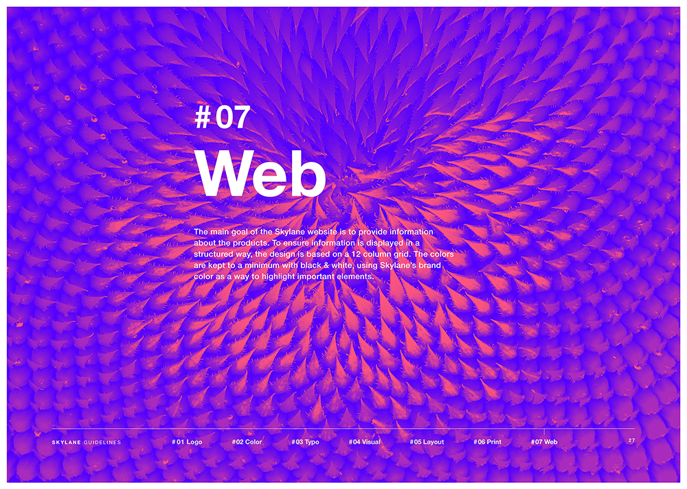 Skylane Optics: Brand Guidelines — artwork 27