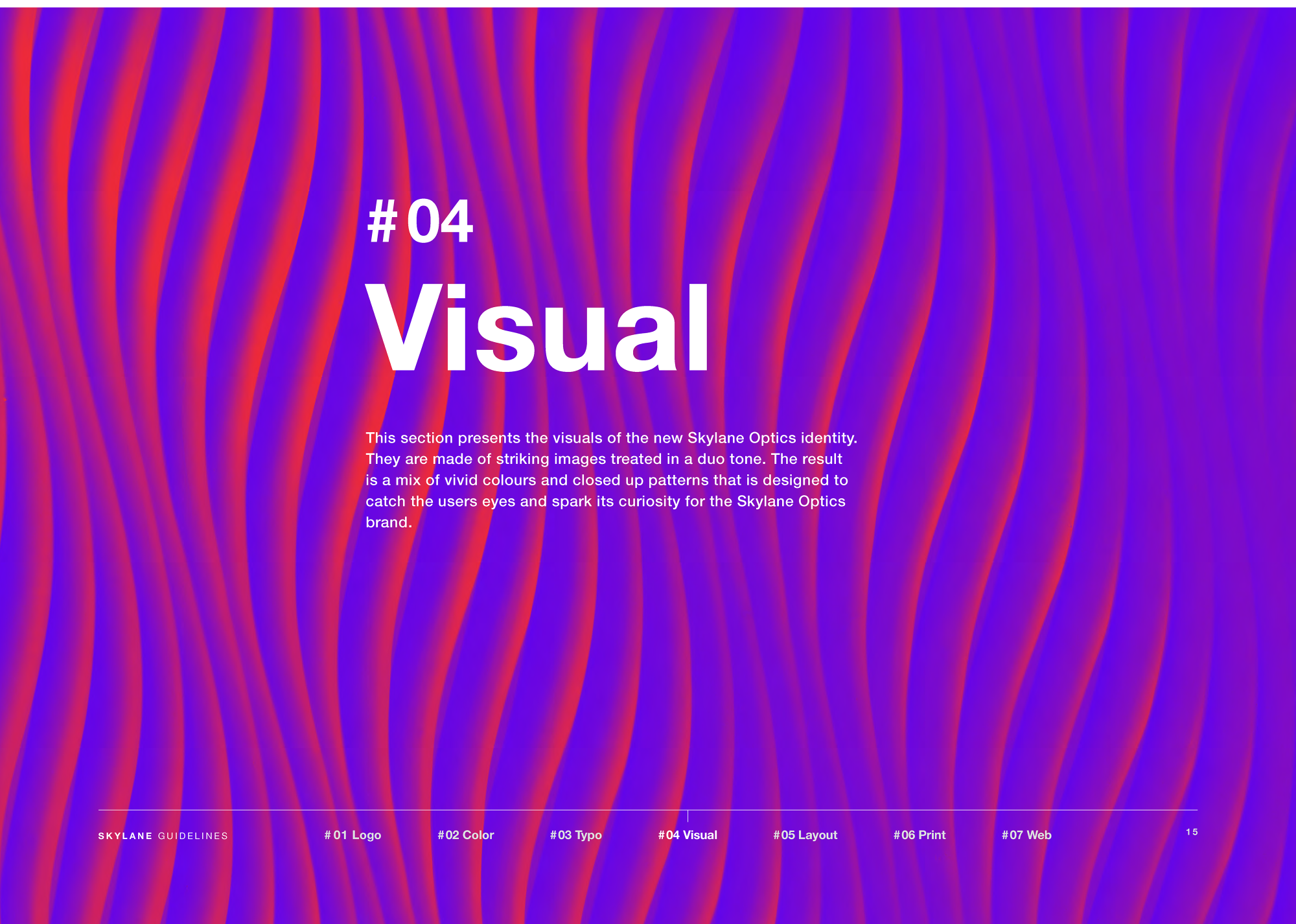 Skylane Optics: Brand Guidelines — artwork 15