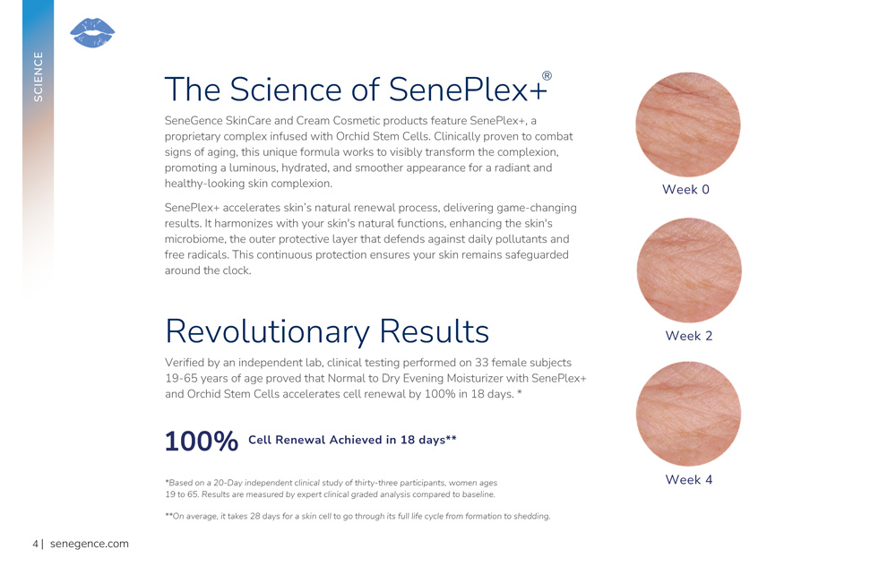 SeneGence: Beauty Book — artwork 2