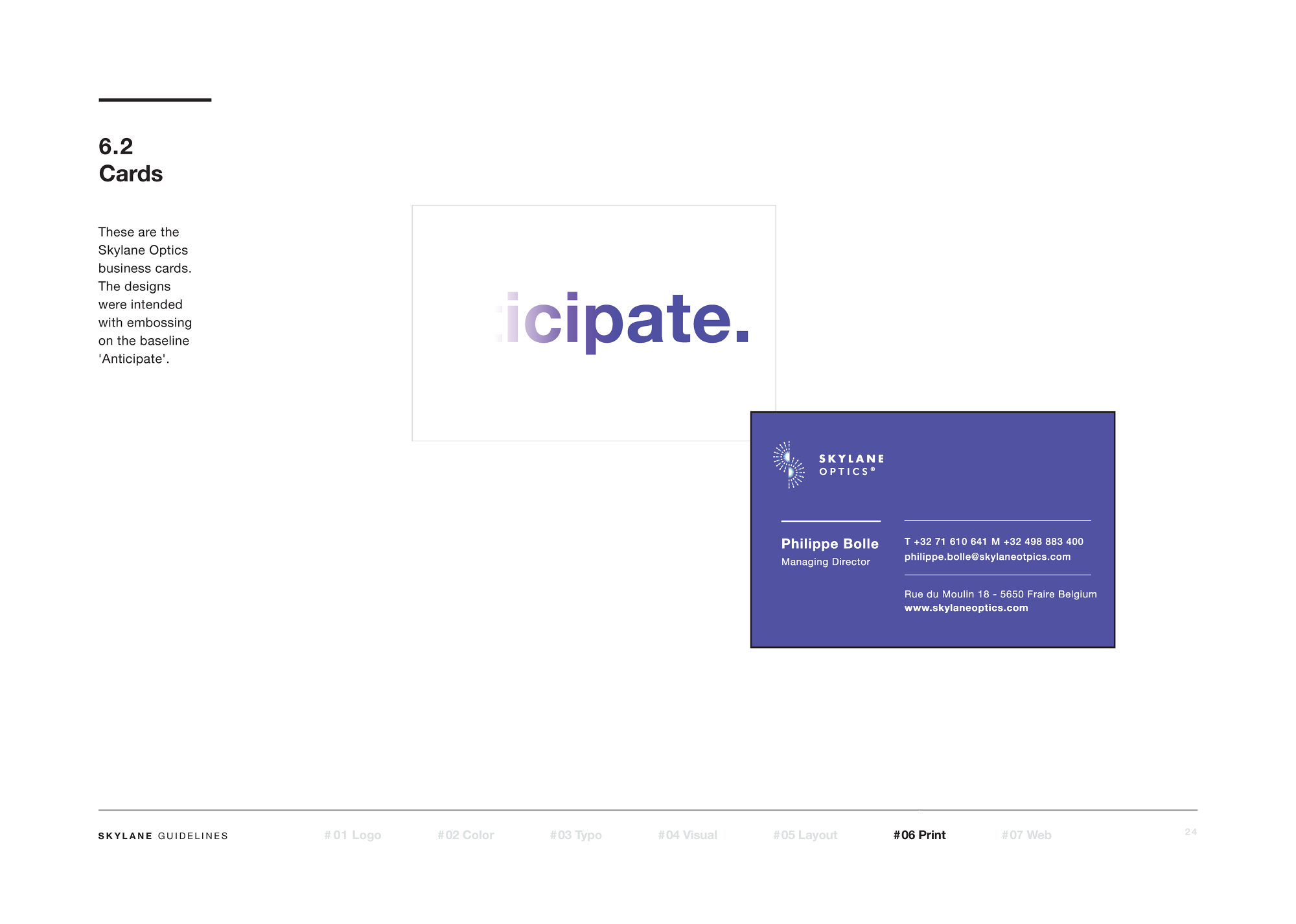Skylane Optics: Brand Guidelines — artwork 24