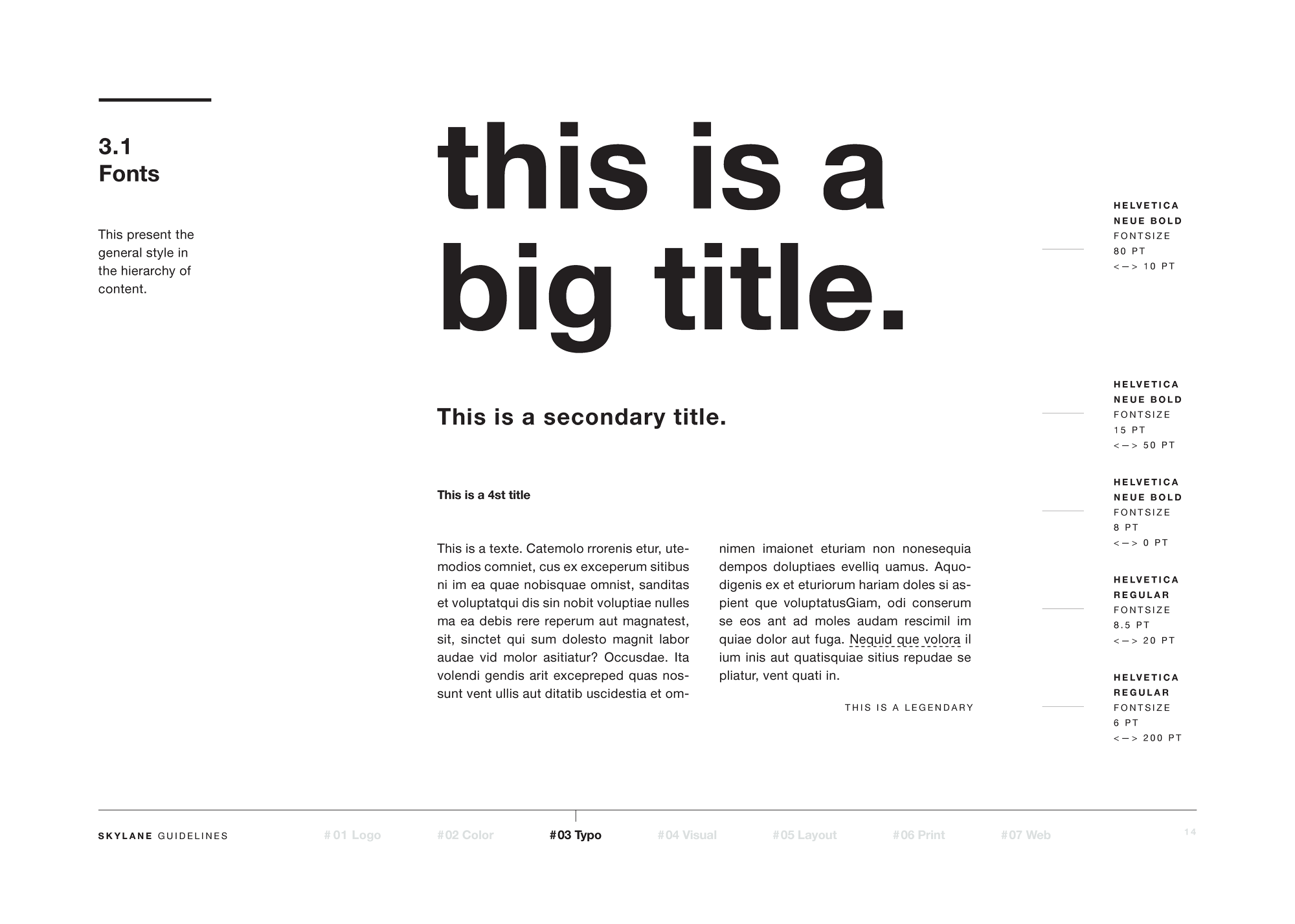 Skylane Optics: Brand Guidelines — artwork 14