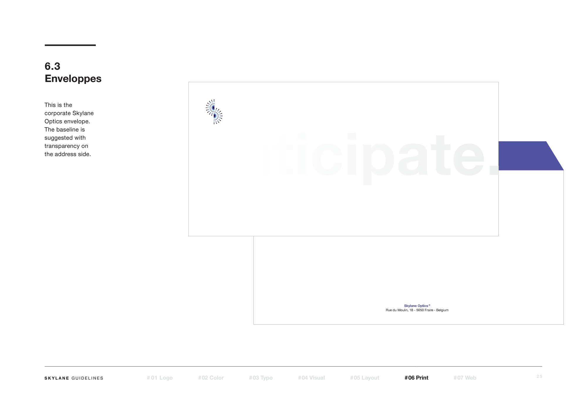 Skylane Optics: Brand Guidelines — artwork 25
