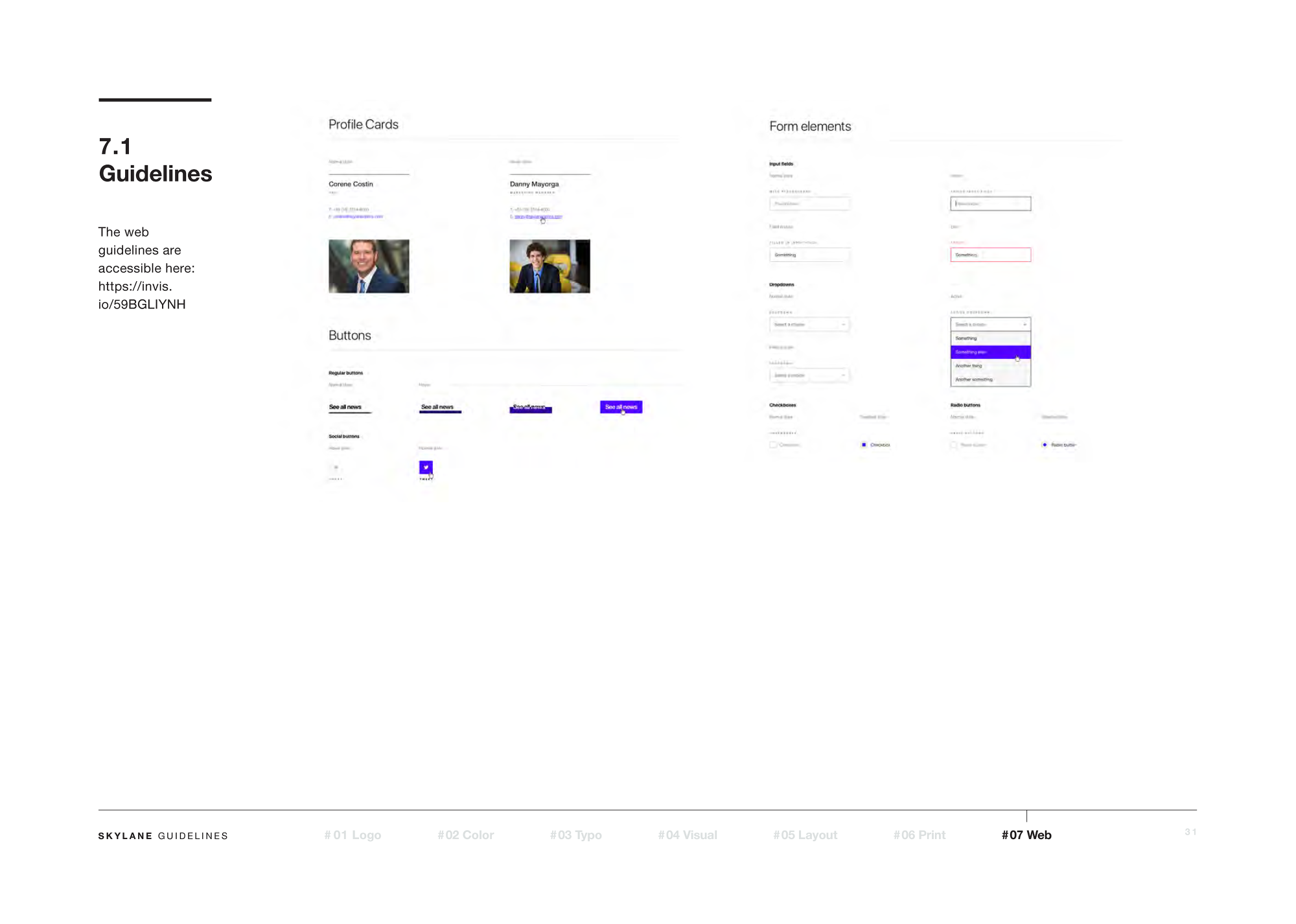 Skylane Optics: Brand Guidelines — artwork 31